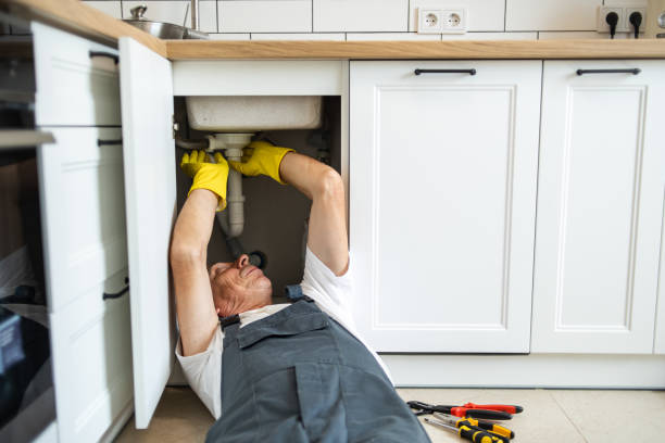 Best Best Plumbers Near Me  in Albion, NY